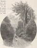 NEW ZEALAND. Wellington to Napier. 70 Miles Bush 1890 old antique print