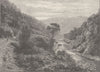 NEW ZEALAND. Wellington to Napier. Manawatu Gorge 1890 old antique print