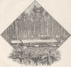AUSTRALIA. Gippsland. Saw Mills 1890 old antique vintage print picture