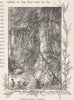 AUSTRALIA. . Impenetrable Jungle 1890 old antique vintage print picture