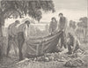 AUSTRALIA. Burial of Burke, Howitt's party 1890 old antique print picture