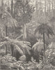 AUSTRALIA. Fernshaw. forest  1890 old antique vintage print picture