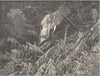 AUSTRALIA. Fernshaw. Waterfall  1890 old antique vintage print picture