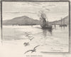 AUSTRALIA. Albany. King George's sound 1890 old antique vintage print picture