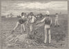 QUEENSLAND. Sugar Industry. Clearing ground 1890 old antique print picture