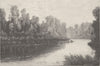 NEW ZEALAND. On the Waikato River 1890 old antique vintage print picture