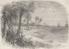 FLORIDA. View on the coast of Florida c1880 old antique vintage print picture