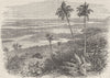 BERMUDA. View in the Bermudas c1880 old antique vintage print picture