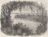 SOUTH CAROLINA. Vista in c1880 old antique vintage print picture