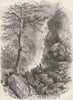 VIRGINIA. Source of Roanoke  c1880 old antique vintage print picture