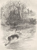 USA. A race for life c1880 old antique vintage print picture