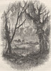 GEORGIA, US. Emigrants in Georgia c1880 old antique vintage print picture