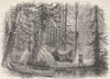 USA. Primeval forest & Indian lodges c1880 old antique vintage print picture