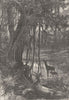 FLORIDA. Forest scenery, Florida c1880 old antique vintage print picture