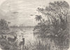 FLORIDA. Creek, tributary to St John's  c1880 old antique print picture