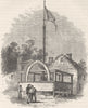 USA. An American Stump c1880 old antique vintage print picture