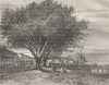 HAUTE-SAVOIE. Evian-Bains 1883 old antique vintage print picture