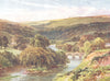 DEVON. Torridge, Torrington 1931 old vintage print picture