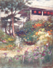 JAPAN. An Iris garden 1904 old antique vintage print picture