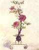 JAPAN. Flower Arrangement. placing 1904 old antique vintage print picture