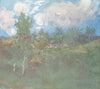WEST INDIES. Tropical Landscape, Castleton, Jamaica. Botanical Gardens 1905