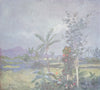 WEST INDIES. Tropical Rain 1905 old antique vintage print picture