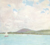 WEST INDIES. Nevis 1905 old antique vintage print picture