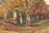 ESSEX. Epping Forest. A forest glade in, Loughton 1909 old antique print