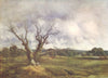 CHINGFORD. Epping Forest. mighty dead-Fairmead Oak 1909 old antique print