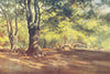 ESSEX. Epping Forest. At Highbeech-Early Summer 1909 old antique print picture