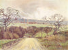 ESSEX. Valley of Crouch from Kitts Hill 1909 old antique vintage print picture