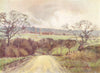 ESSEX. Valley of Crouch from Kitts Hill 1909 old antique vintage print picture