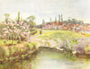 DERBYS. Village Green, Cold Norton 1909 antique vintage print picture