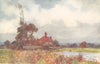SUSSEX. Pulborough Marsh 1906 old antique vintage print picture