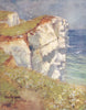SUSSEX. Beachy Head 1906 old antique vintage print picture