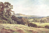 SURREY. Wey valley. A Hayfield, Wonersh 1912 old antique vintage print picture