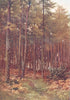 SURREY. Mole valley. depths of a Fir Wood, Ripley 1912 old antique print