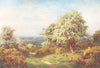 SURREY. Pilgrims way. Pride Spring, Newlands Corner 1912 old antique print