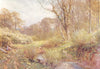 SURREY. In Spring woods, Ockley 1912 old antique vintage print picture