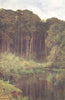 SURREY. Woodland Depths, Wotton 1912 old antique vintage print picture
