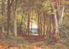 SURREY. Deer-Leap wood, Wotton 1912 old antique vintage print picture