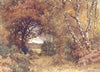 SURREY. Edge of a Wood, Royal Common 1912 old antique vintage print picture