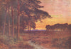 SURREY. Evening, moors, Hindhead 1912 old antique vintage print picture