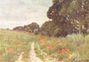 SURREY. Poppies 1912 old antique vintage print picture
