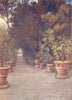 TUSCANY. The Ilex walk, Villa Dell' Ombrellino San Domenico, in April 1905