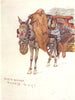 TUSCANY TOSCANA. Mule, Decorated Harness & Rope Nose-Bag 1905 old print