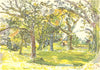 BUCKLEBURY. The Avenue. Berkshire. By Thomas Hennell 1946 old vintage print
