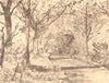 LASHAM. Beech Avenue. Hampshire. By Thomas Hennell 1949 old vintage print