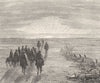 BIRDS. Raptorial. Vulture Falcons. Track Pampas c1870 old antique print