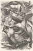BIRDS. Owl. Day. Uhu at Bay c1870 old antique vintage print picture